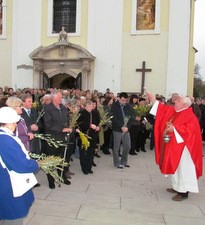 Proslava Cvjetnice u Zaboku